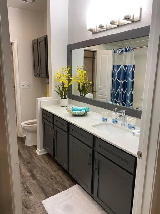 Your Warm Spacious Unit With Pool - Medical Center Houston Dış mekan fotoğraf